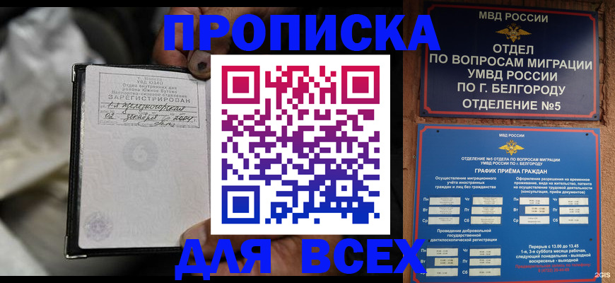 где прописаться в Домодедово